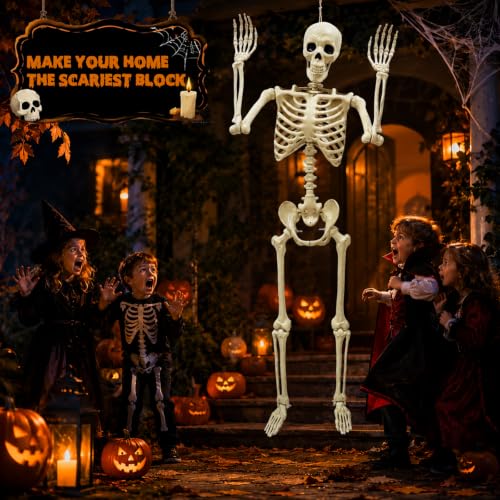 NLShan Life Size Skeleton for Halloween: 5.4ft Human Anatomy Skeleton - color: Off-White