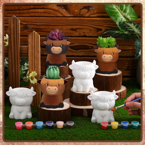 Beeveer 6 Pcs Ready to Paint Your Own Highland Cow Succulent Ceramic Pots - style: Highland Cow