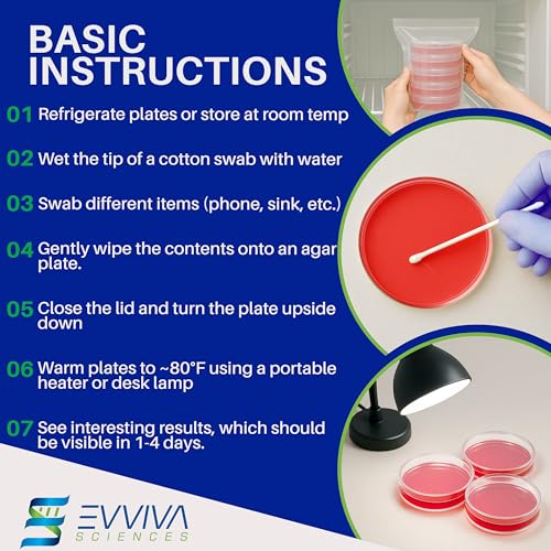 Evviva Sciences Nutrient Agar Petri Dishes Science Project Kit, Pre-Poured Agar Plates for Science Experiments, with Experiment eBook (RED) - color: Red