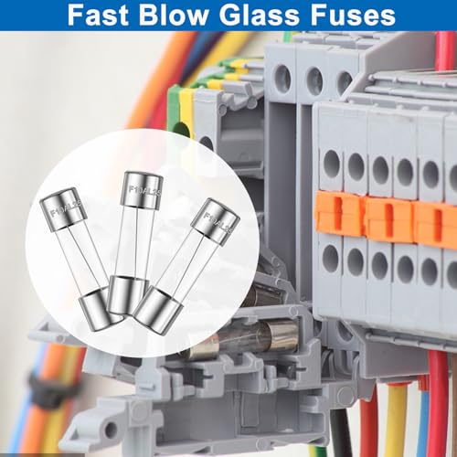 20PCS F10AL250V 5 x 20mm Fast Blow Glass Fuses 10A 10Amp 250V Glass Fuse,0.2 x 0.78 Inch - size: 10A