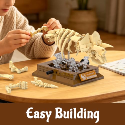 Dinosaur Fossil Building Sets, Mechanical Dino Skeleton Model - color: Dinosaur