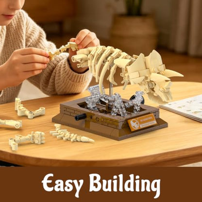Dinosaur Fossil Building Sets, Mechanical Dino Skeleton Model - color: Dinosaur