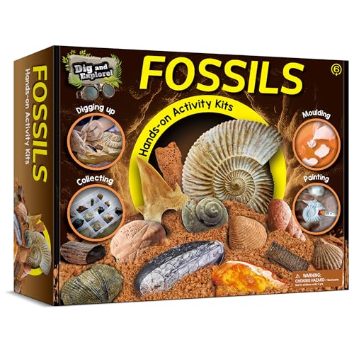 Fossil Dig Kit for Kids - 12 Unique Prehistoric Specimens