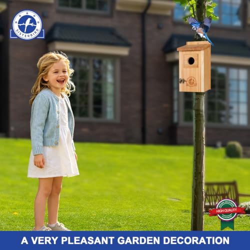 SISTERBIRD 2 Pack Blue Bird Houses for Outdoors, Warming Gifts Bird House - color: Burly Wood -- 2PK