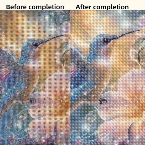 Diamond Art Kits for Adults,Hummingbird Flower Diamond Painting Kit - color: KM1241-1