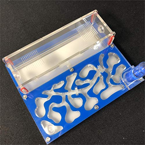 ANT 150mmx110mm Test Tube Moisture Big Space Nest Farm Acrylic, Insect Villa House Ecological Workshop (Sky Blue) - color: Sky blue