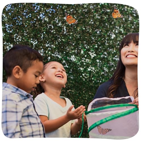 Insect Lore Butterfly Garden with 5 Live Baby Caterpillars - STEM Activity Journal, Habitat, Chrys-A-Lid Holder and Feeder Included | Raise and Release Painted Lady Butterflies - style: Live Butterfly Garden