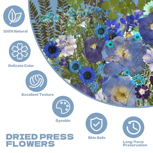 Pressed Flowers112 Pcs, Dried Pressed Flowers with 10Butterfly Stickers - size: 112 pcs Blue Dried Flowers with Butterfly Stickers