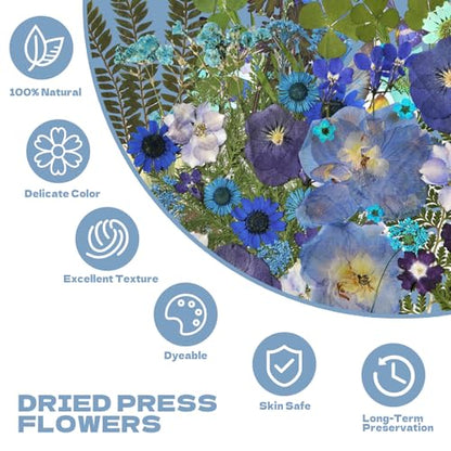 Pressed Flowers112 Pcs, Dried Pressed Flowers with 10Butterfly Stickers - size: 112 pcs Blue Dried Flowers with Butterfly Stickers