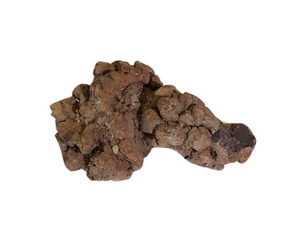 DINOSAURS ROCK® Museum in a Bag - 3 Genuine Dinosaur Fossils - Dinosaur Bone, Eggshell and Coprolite Plus mini Excavation dig kit and Fun Skeleton - Gift Packaged in Burlap Drawstring Bag