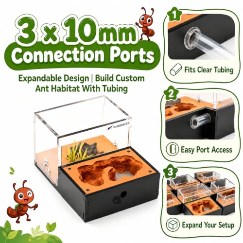 Terra Core S-Ant Farm Formicarium for Live Ants & Queen, Expandable Ant Nest with Magnetic Trash Chamber, 18 mL Water Feeder, Dual Humidity System, Red Cover & Starter Kit