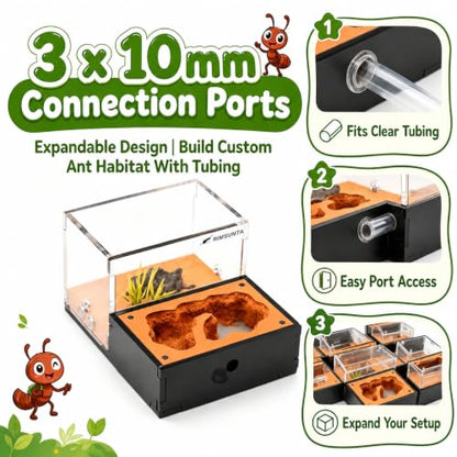 Terra Core S-Ant Farm Formicarium for Live Ants & Queen, Expandable Ant Nest with Magnetic Trash Chamber, 18 mL Water Feeder, Dual Humidity System, Red Cover & Starter Kit