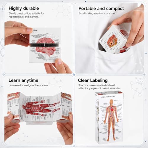 MinFyberd Human Anatomy Study Cube 2.76" Anatomical Poster Study 9 Parts of The Human Body Heart Brain Lung Skin Muscular Skeletal Digestive etc Medical Student Learning Tool Gift for Students & Nurse
