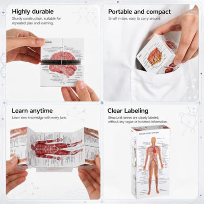MinFyberd Human Anatomy Study Cube 2.76" Anatomical Poster Study 9 Parts of The Human Body Heart Brain Lung Skin Muscular Skeletal Digestive etc Medical Student Learning Tool Gift for Students & Nurse