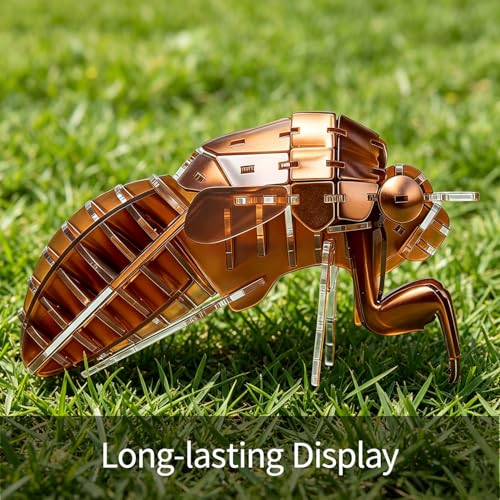 3D Acrylic Insect Puzzle DIY Bug Model Kit Animal STEM Gift - color: Cicada Exuviae