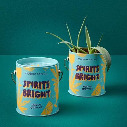 Modern Sprout Complimentary Color Grow Kits - Seed Starter Kit, Pack of 3 - size: Pack of 3