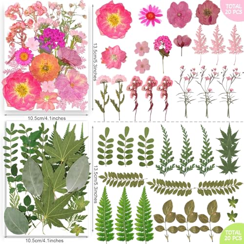 301Pcs Multi-Style Dried Pressed Flowers & Leaves (10 Packs) - Pressed Flower for Crafts, Resin, Nail Art, Candle, Soap, Scrapbooking & Frame Decor