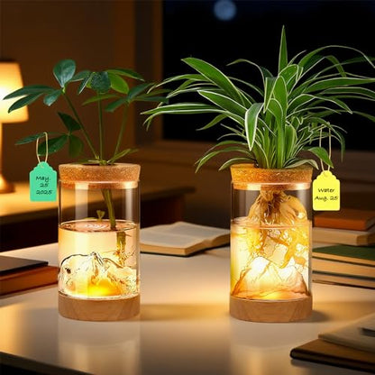 2Pcs Plant Propagation Station, Wooden Base with Lighting