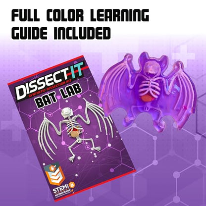 Top Secret Toys Dissect-It Mini Labs Bat Lab Dissection Kit for Kids, Realistic Synthetic Kids Science Kit - On, Biology and Animal Anatomy, STEM Toy, Ages 6+ - style: Mini Bat