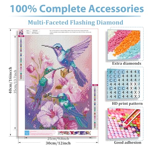 Hummingbird Diamond Art Kits for Adults, Diamond Painting Kits 12x16 Inch - color: Style 43