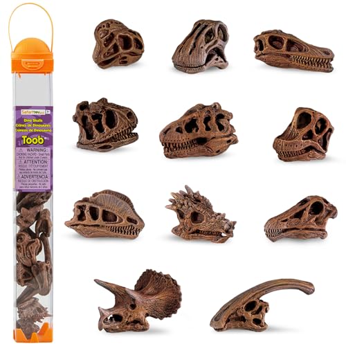 Safari Ltd Dinosaur Skulls TOOB - 11 Mini Figurines Including Velociraptor, Brachiosaurus, Oviraptor, Triceratops, Tyrannosaurus Rex and More - Educational Toy Figures for Boys, Girls & Kids Ages 3+