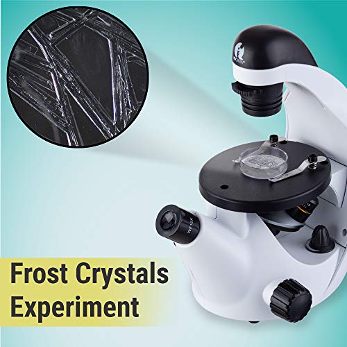 AmScope IN50C-WM Monocular Biological Microscope with 500X
