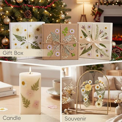 LUXEEASE 100P White Foliage Mix Dried Pressed Flowers - color: Pure White 100p
