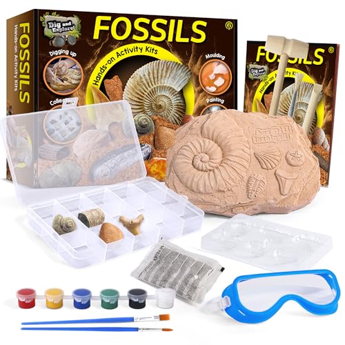 Fossil Dig Kit for Kids - 12 Unique Prehistoric Specimens