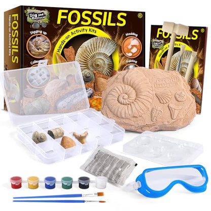 Fossil Dig Kit for Kids - 12 Unique Prehistoric Specimens