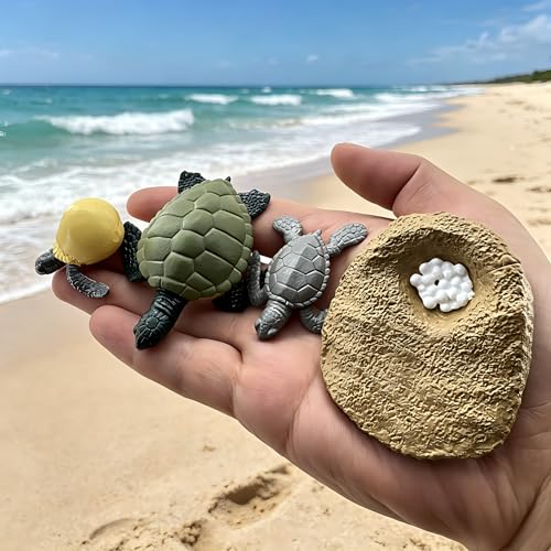 Montessori Life Cycle Animal Figures with Flash Cards, Lifelike Animal Growth Cycle Biological Model Set (Turtle) - style: Turtle
