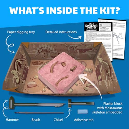 4M Tyrannosaurus Rex Skeleton Kit for Kids Ages 8-12 – T-Rex Fossil Excavation Set with 12 Realistic Bones, STEM Paleontologist Digging Kit with Hammer, Chisel & Brush, Educational Gift