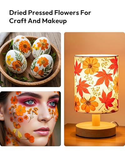 Dried Flowers, Resiners 100Pcs Fall Pressed Flowers for Craft Real Natural Dried Flowers Dry Leaves Kit for DIY Making Crafts Resin Soap Candle Scrapbook Supplies Card Making Jewelry - color: Fall Color 100pcs