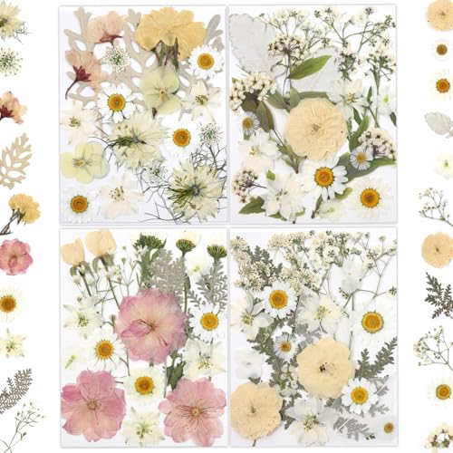 LUXEEASE 80P White Pink Dried Pressed Flowers - color: White 80pcs