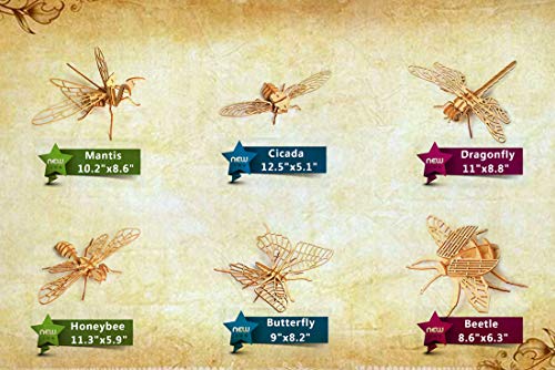 3D Wooden Insect Puzzle - 6 Piece Set Insect Animal Skeleton Assembly Model Puzzle - DIY Wooden Crafts 3D Puzzle - Wood STEM Gifts for Adults & Teens Birthday Gifts Christmas - color: Insects