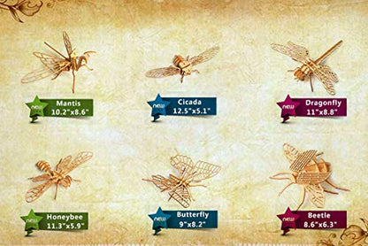 3D Wooden Insect Puzzle - 6 Piece Set Insect Animal Skeleton Assembly Model Puzzle - DIY Wooden Crafts 3D Puzzle - Wood STEM Gifts for Adults & Teens Birthday Gifts Christmas - color: Insects