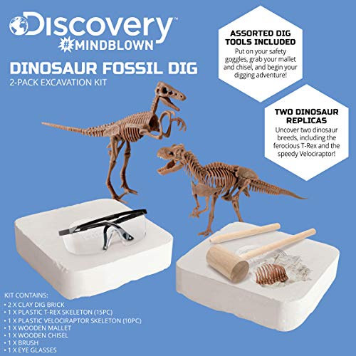 Discovery™ Dinosaur Fossil Dig Kit – Excavate & Assemble T-Rex & Velociraptor Skeletons| 3D Dino Bones Puzzles| Jurassic Paleontology Toy for Kids| STEM Science Activity Set| Girls & Boys Gift Ages 6+