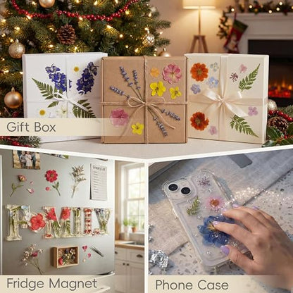 LUXEEASE 4-Color 80P Natural Dried Pressed Flowers - color: Orange/Purple/Pink/Neutral 80p