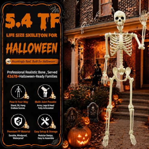 NLShan Life Size Skeleton for Halloween: 5.4ft Human Anatomy Skeleton - color: Off-White