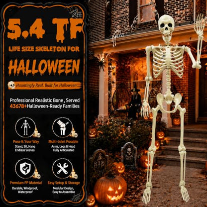 NLShan Life Size Skeleton for Halloween: 5.4ft Human Anatomy Skeleton - color: Off-White