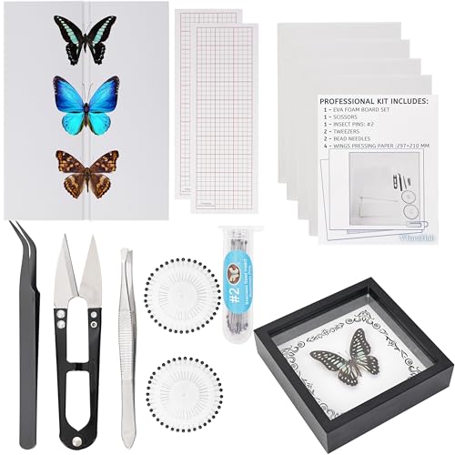 Insect Specimen Tools Kit - EVA Foam Pinning Board, Coordinate Paper, Wings Pressing Paper, Insect Pins & Butterfly Pins, Complete Entomology Kit for Beginners (Black Display Case Box Kit) - size: Black Display Case Box Kit