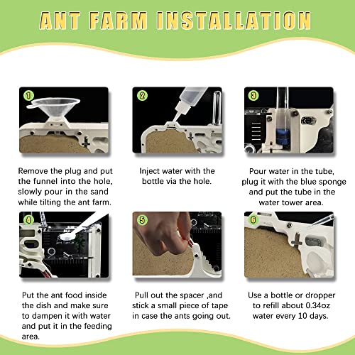 ELNMLHT Ant Farm Castle, Ant Farms with Yellow Sand and Tool Kit, Ant Colony Observation Kit, Ant Viewing Habitat Science Kit, Educational & Learning Science Kit for Kids, Adults, Student (Ant Farm B) - color: Ant Farm B