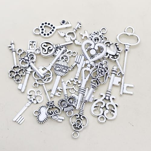 WOCRAFT 60pcs Antique Silver Small Key Charms Bracelet Charms for Jewelry Making Sets DIY Necklace Bracelet Keychain Crafting Charms Kit Craft Supplies (SN26) - color: Antique Silver, size: Small Key Charms