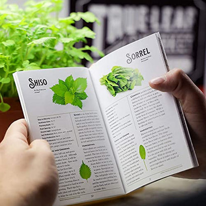 Sustainable Seed Co Culinary Herb Seeds Variety Pack – 10 Non-GMO