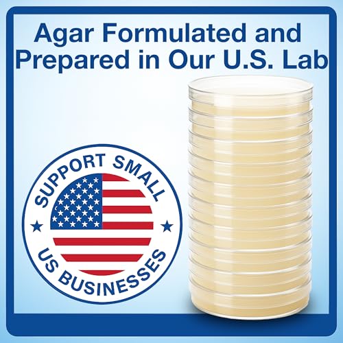Evviva Sciences Microbiology Science Project Kit, Pre-Poured Agar Plates for Students, Agar Petri Dishes to Learn Microbiology, with Educational Experiment eBook - size: Medium (6 X 4 X 4in)