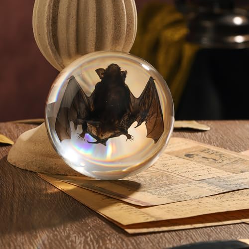 Taxidermy Bat, Real Bat Specimens Animal Specimen in Resin for Science Classroom Science Education, Great Gift for Fans of Taxidermy, Animal Skull, Oddities, Biology(Round 3.5 inch) - color: Taxidermy Bat (Semicircle 3.5 Inch)