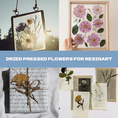 Pressed Flowers112 Pcs, Dried Pressed Flowers with 10Butterfly Stickers - size: 112 pcs Blue Dried Flowers with Butterfly Stickers