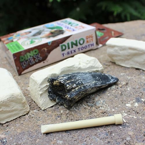 Safari Ltd. Dino Dexter T-Rex Tooth Excavation Kit - Realistic Dinosaur Dig Toy for Boys, Girls, and Kids 6+