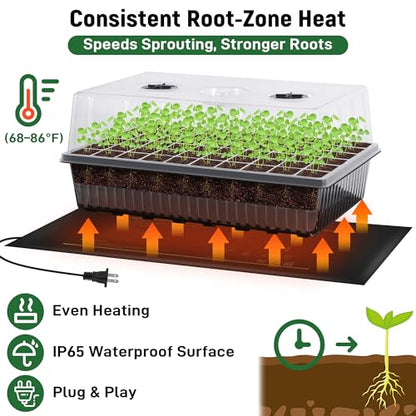 DazSpirit Seed Starter Kit, 60-Cell Tray with Grow Light and Heat Mat