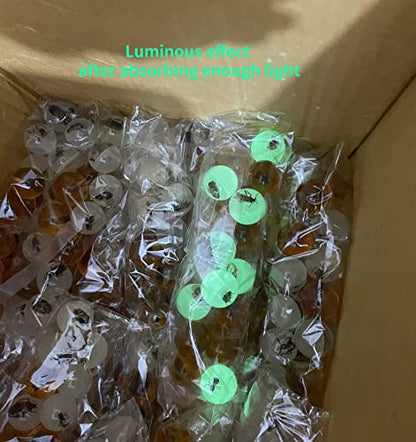 Multiple Psc Spherical Insect Amber Fossil, Spherical Luminous Insect Specimen, Educational and Scientific Amber Collection (8Pcs)
