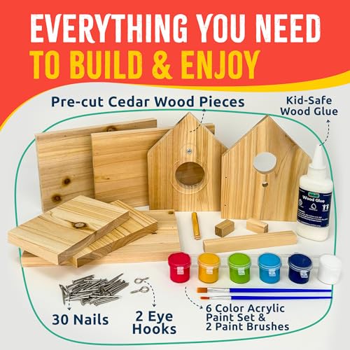Jr Bird House Kit, DIY Cedar Wood Birdhouse for Outdoors with Paint